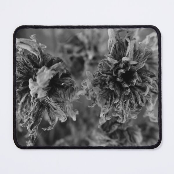 Item preview, DRIED FLOWERS designed and sold by XIADA.