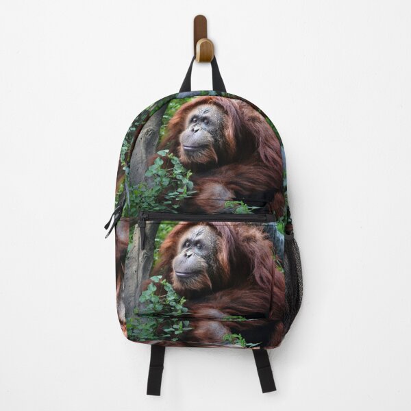 Item preview, Female Orangutan  designed and sold by Savannah Gibbs.