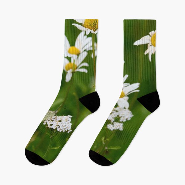 Item preview, Green-veined white and daisies designed and sold by Jouko Lehto Photography.