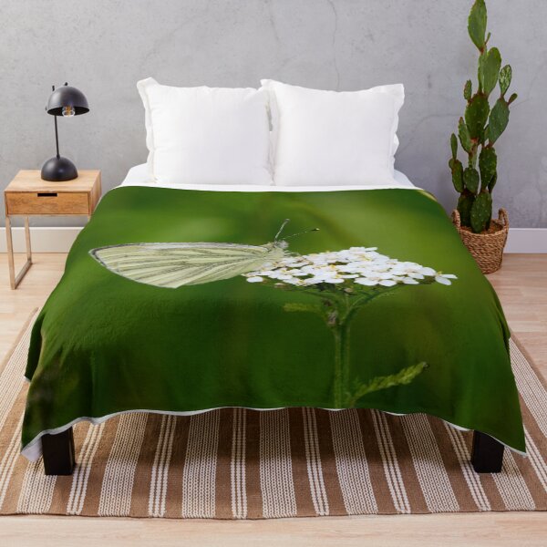 Item preview, Green-veined white Pieris napi designed and sold by Jouko Lehto Photography.