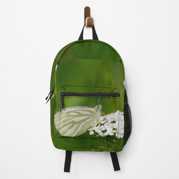 Item preview, Green-veined white Pieris napi designed and sold by Jouko Lehto Photography.