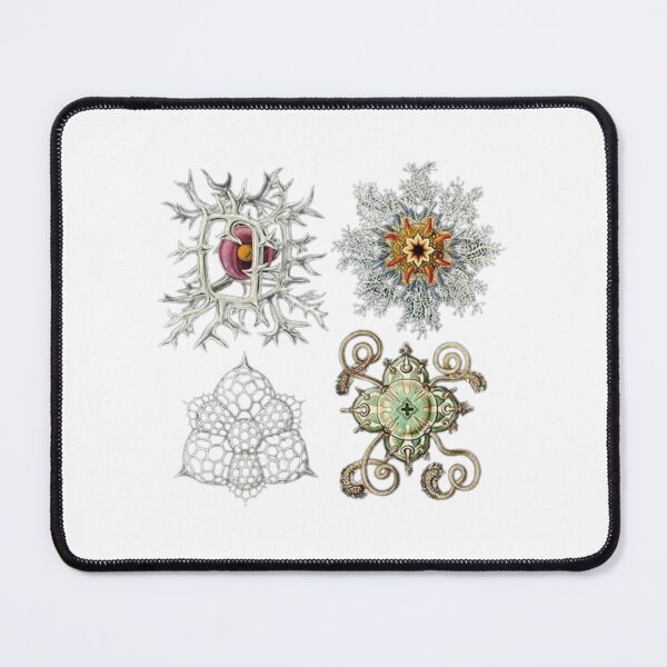 Item preview, The Radiolarians designed and sold by PatronesKawai.