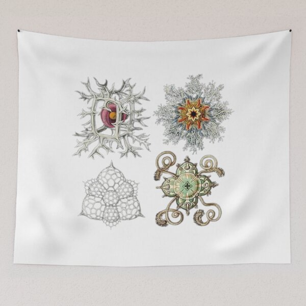 Item preview, The Radiolarians designed and sold by PatronesKawai.