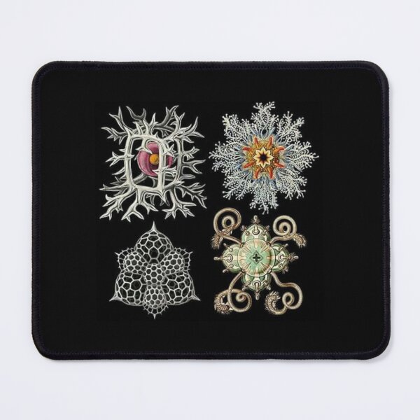 Item preview, Radiolarians designed and sold by PatronesKawai.