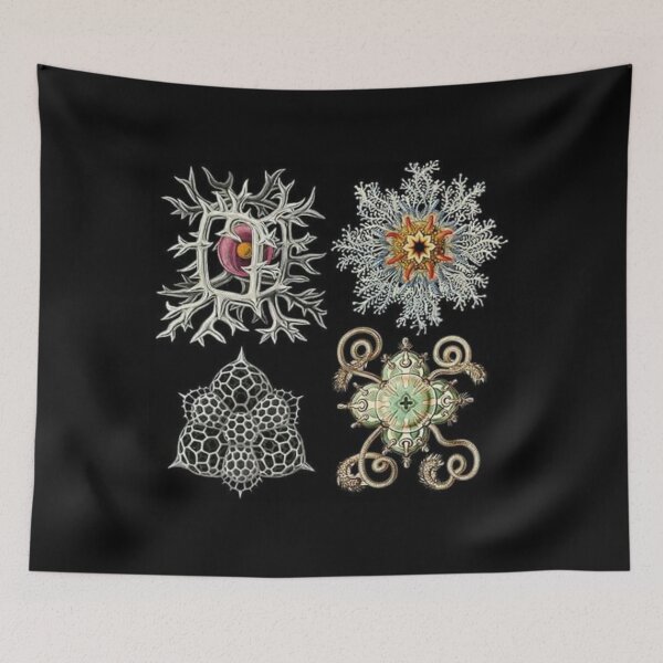 Item preview, Radiolarians designed and sold by PatronesKawai.