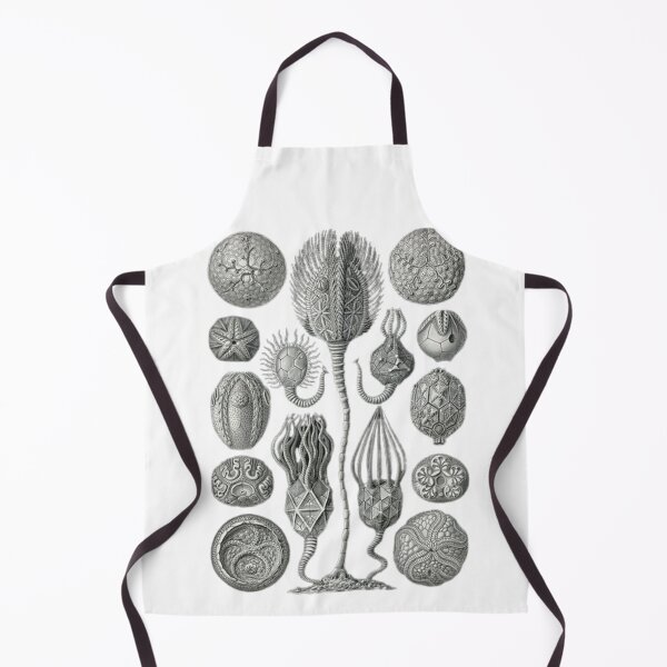 Item preview, Order Scleractinia designed and sold by PatronesKawai.