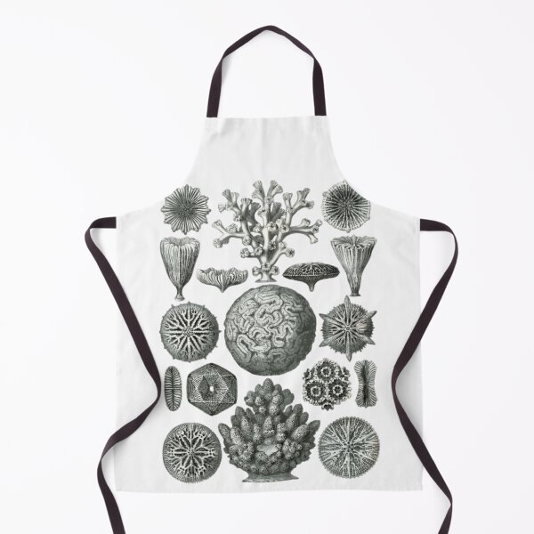 Item preview, Order Scleractinia designed and sold by PatronesKawai.