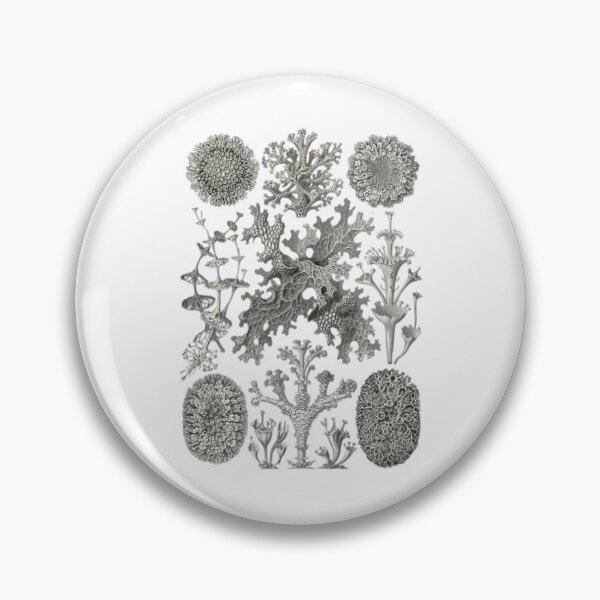 Item preview, Order Scleractinia designed and sold by PatronesKawai.