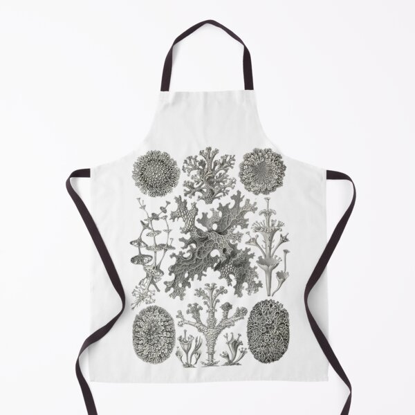 Item preview, Order Scleractinia designed and sold by PatronesKawai.