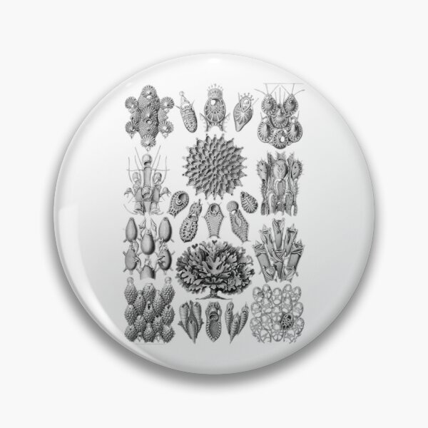 Item preview, Order Scleractinia designed and sold by PatronesKawai.