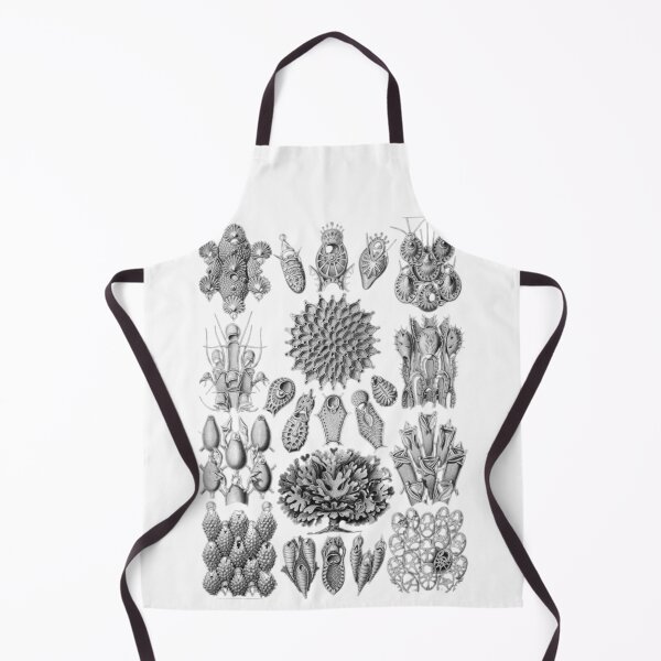 Item preview, Order Scleractinia designed and sold by PatronesKawai.