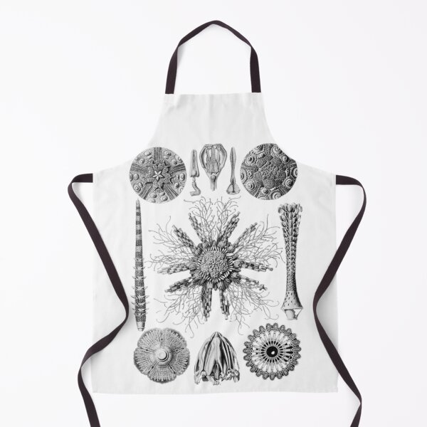 Item preview, Order Scleractinia designed and sold by PatronesKawai.
