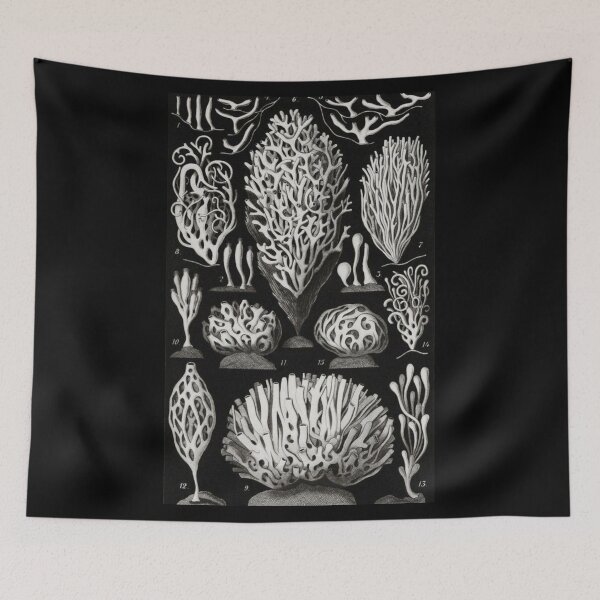 Item preview, Order Scleractinia designed and sold by PatronesKawai.