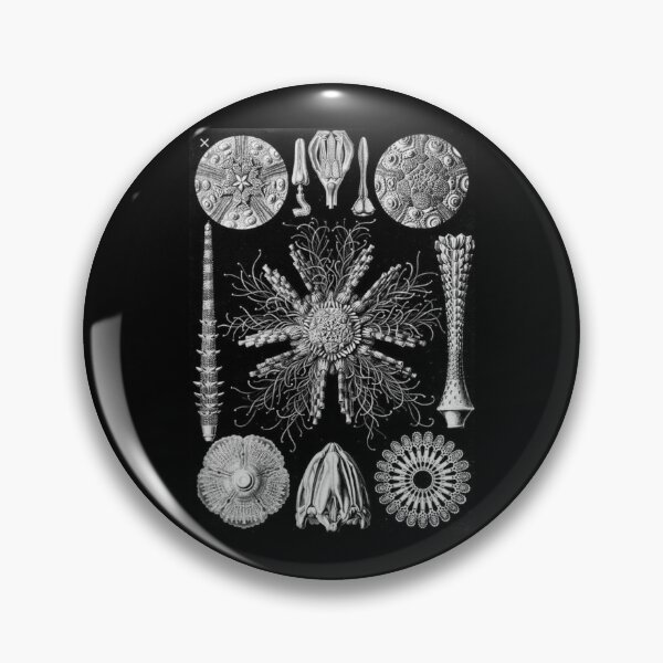 Item preview, Order Scleractinia designed and sold by PatronesKawai.
