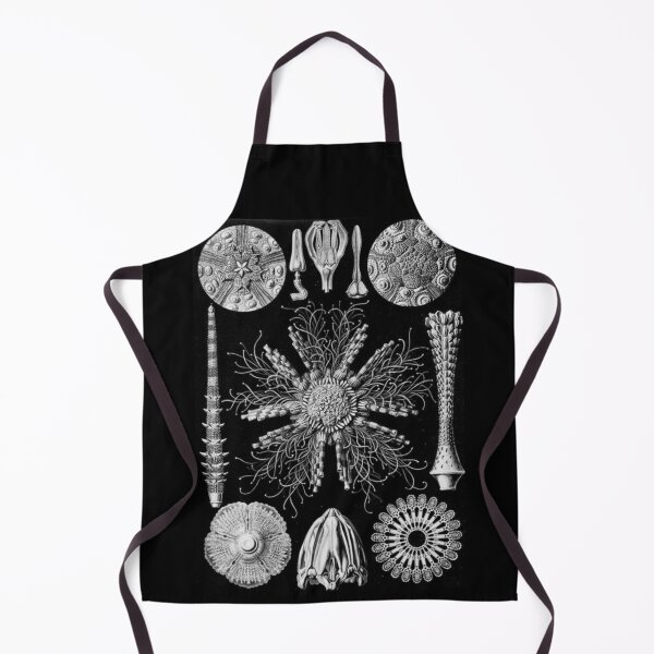 Item preview, Order Scleractinia designed and sold by PatronesKawai.