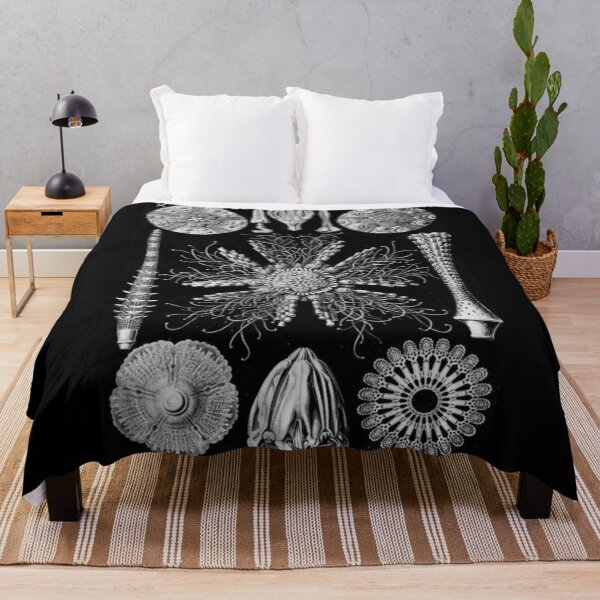 Item preview, Order Scleractinia designed and sold by PatronesKawai.