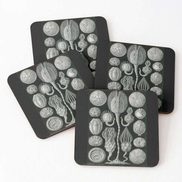 Item preview, Order Scleractinia designed and sold by PatronesKawai.