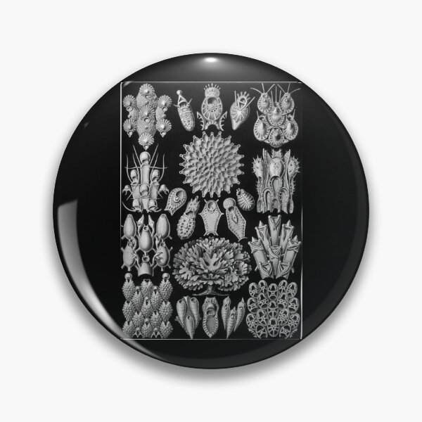 Item preview, Order Scleractinia designed and sold by PatronesKawai.