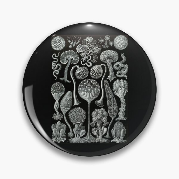 Item preview, Order Scleractinia designed and sold by PatronesKawai.