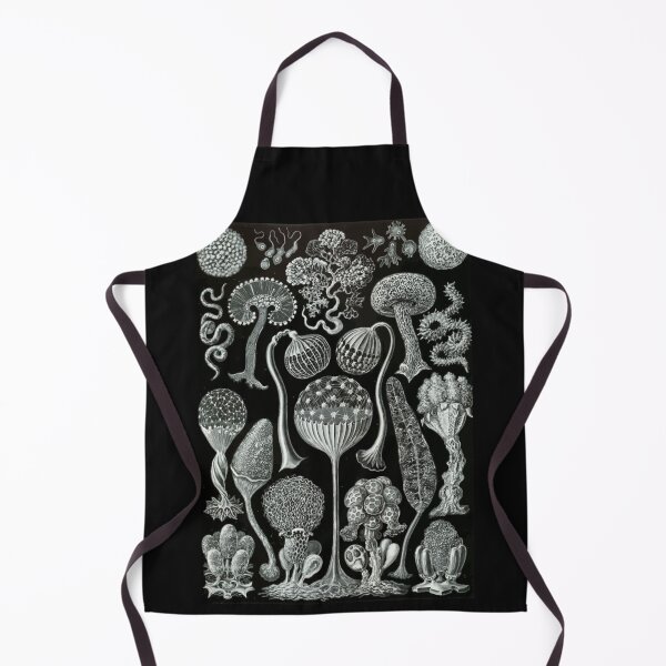 Item preview, Order Scleractinia designed and sold by PatronesKawai.