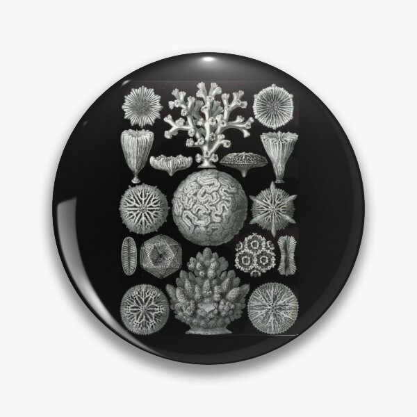 Item preview, Order Scleractinia designed and sold by PatronesKawai.
