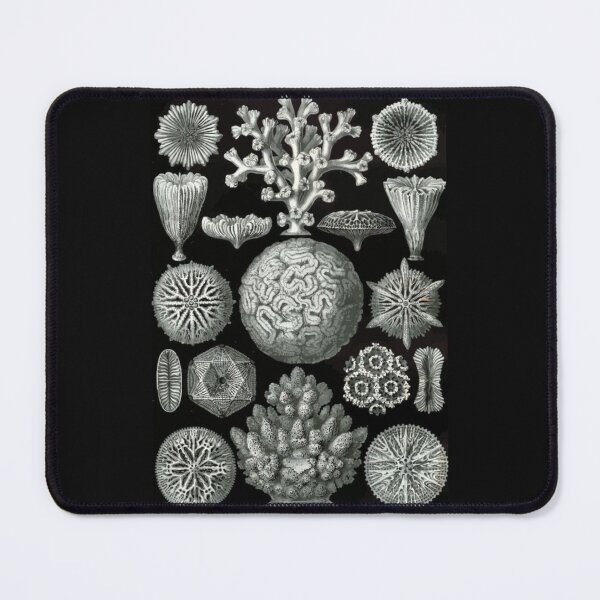 Item preview, Order Scleractinia designed and sold by PatronesKawai.