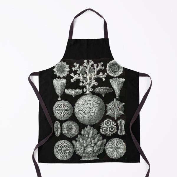 Item preview, Order Scleractinia designed and sold by PatronesKawai.