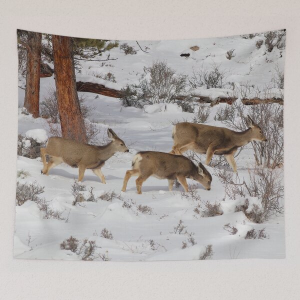 Item preview, Mule Deer in the Snow designed and sold by SafariByMarisa.