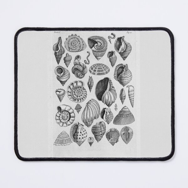Item preview, Order Gastropoda designed and sold by PatronesKawai.