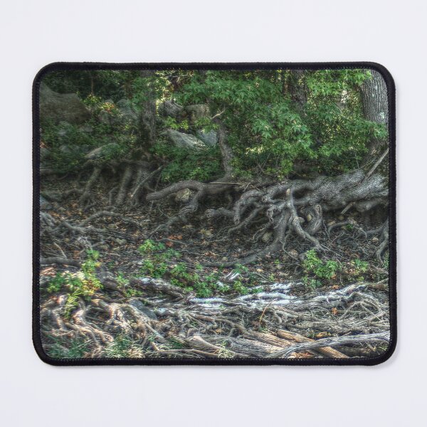 Item preview, Finding Your Roots designed and sold by SarahEL17.