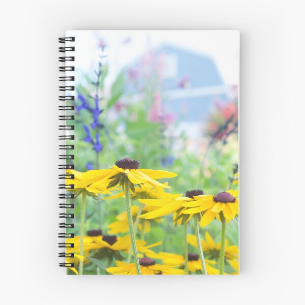 Item preview, Black-eyed Susans and Black and Blue Salvia designed and sold by kjamesphotos.