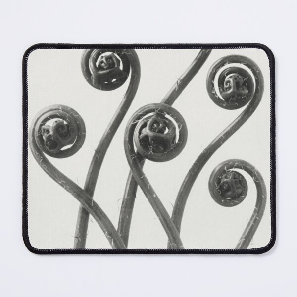 Item preview, Vintage Fern Fiddleheads designed and sold by BlueSpecsStudio.