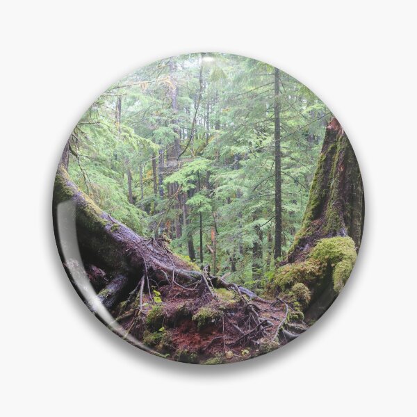 Item preview, Forests of Sitka designed and sold by zumi.