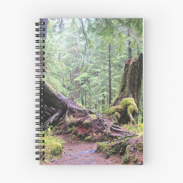Item preview, Forests of Sitka designed and sold by zumi.