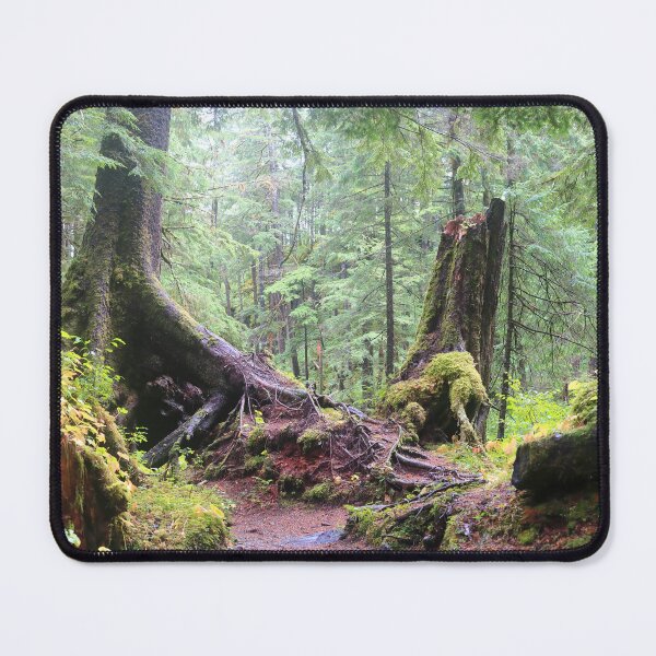 Item preview, Forests of Sitka designed and sold by zumi.