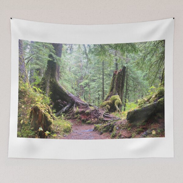 Item preview, Forests of Sitka designed and sold by zumi.