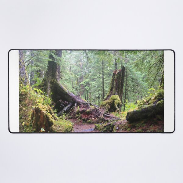 Item preview, Forests of Sitka designed and sold by zumi.