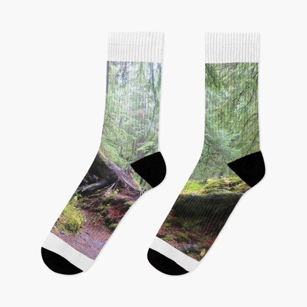Item preview, Forests of Sitka designed and sold by zumi.