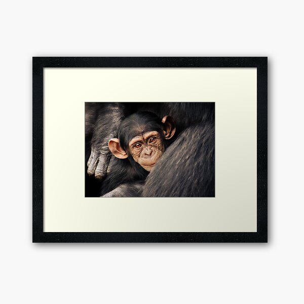 Surrounded Framed Art Print
