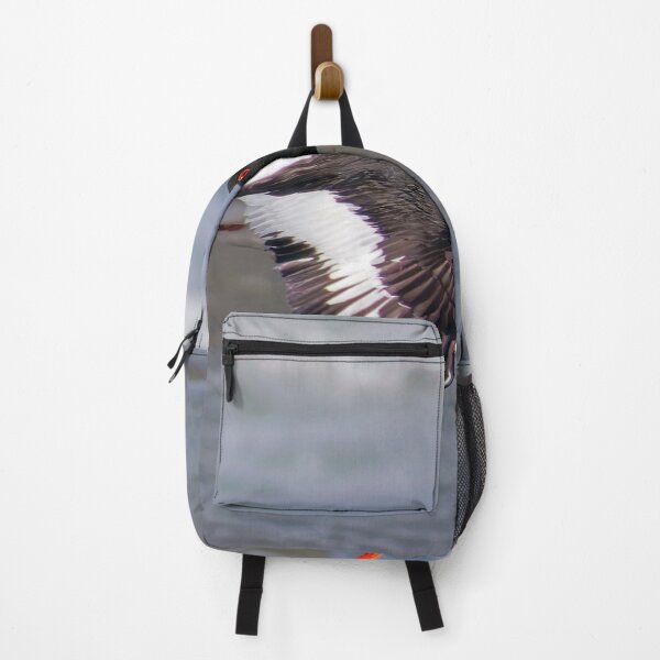 Item preview, Oystercatcher in Flight designed and sold by Tom McPherson Photography.