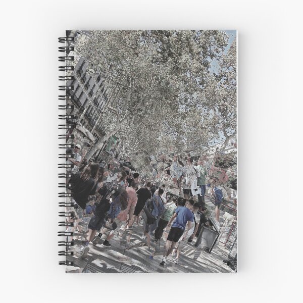 Item preview, the aspects used to lock in the determinate spaces (DL) designed and sold by Juan Antonio Zamarripa [Esqueda].