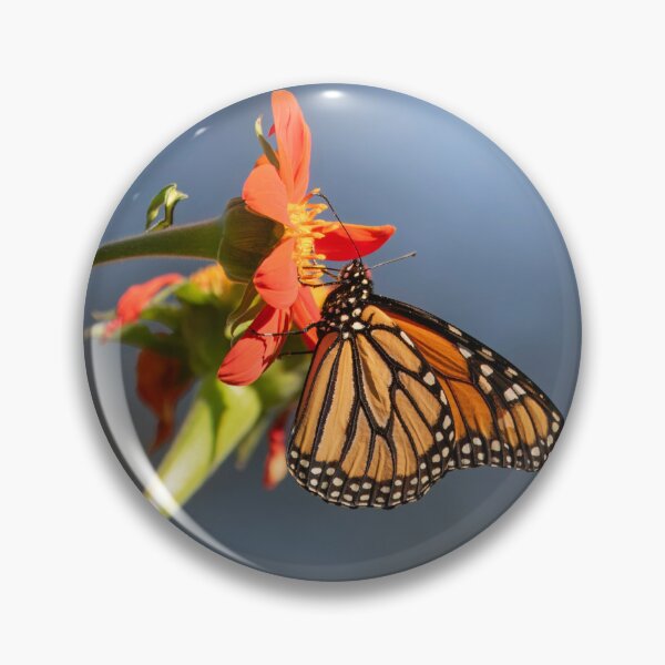 Item preview, Monarch Butterfly 2024-1 designed and sold by Thomasyoung.