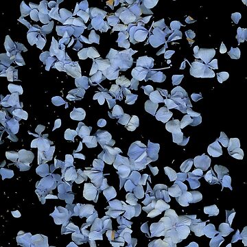 Artwork thumbnail, Hydrangea Snowfall 1 Dark Floral by LindasPhotoArt