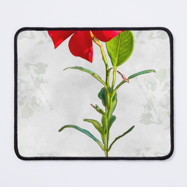 Item preview, Brazilian Jasmine Red Flower designed and sold by vagabondgal.