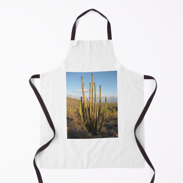 Artikelvorschau, Organ Pipe Cactus National Monument Arizona - Echtes Foto entworfen und verkauft von tumbleweedphoto.