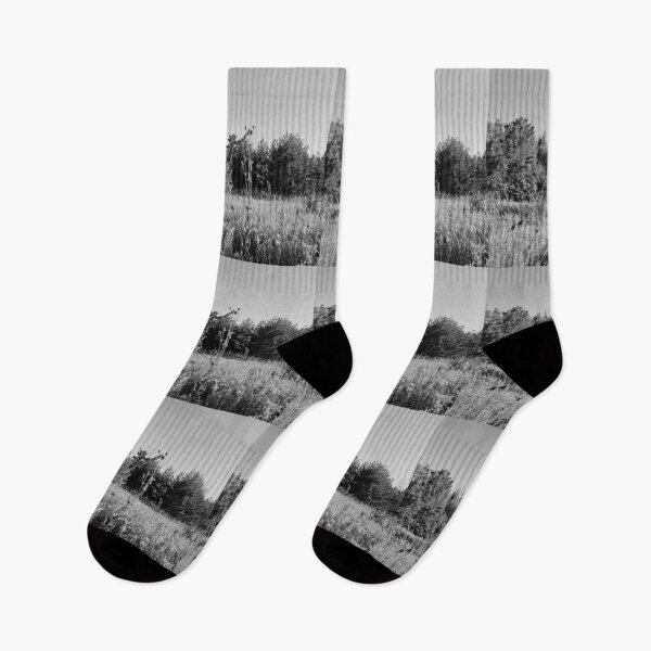 Item preview, Greyscale Field in the Early Morning designed and sold by Quincy-Hedgehog.