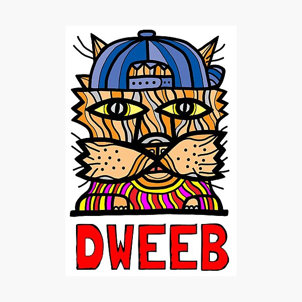 "Dweeb Kat" Photographic Print