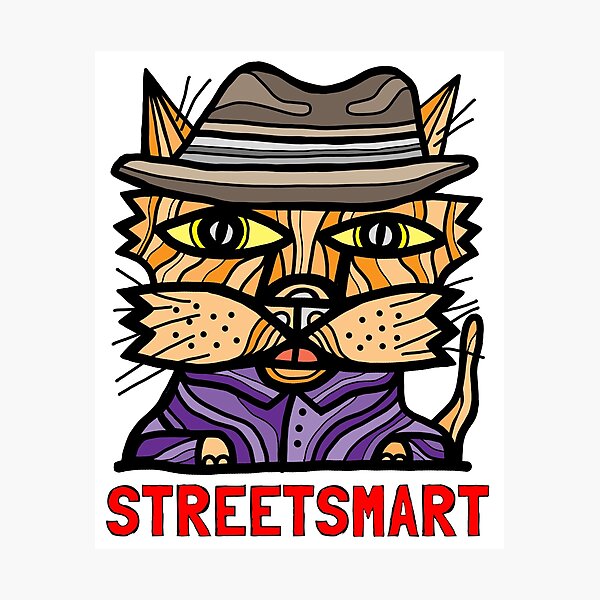 "StreetSmart" Photographic Print