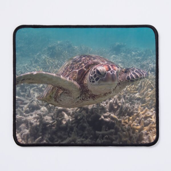 Item preview, Turtle designed and sold by yolanda.