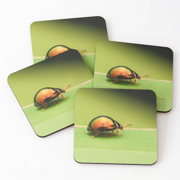 Item preview, Steelblue Ladybird designed and sold by robdanimalphotography.